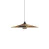 Suspension-Parrot-Brown-Forestier