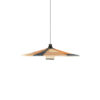 Suspension-Parrot-Sand-Forestier