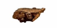 Table-basse-Kauri-Stump-Riva1920