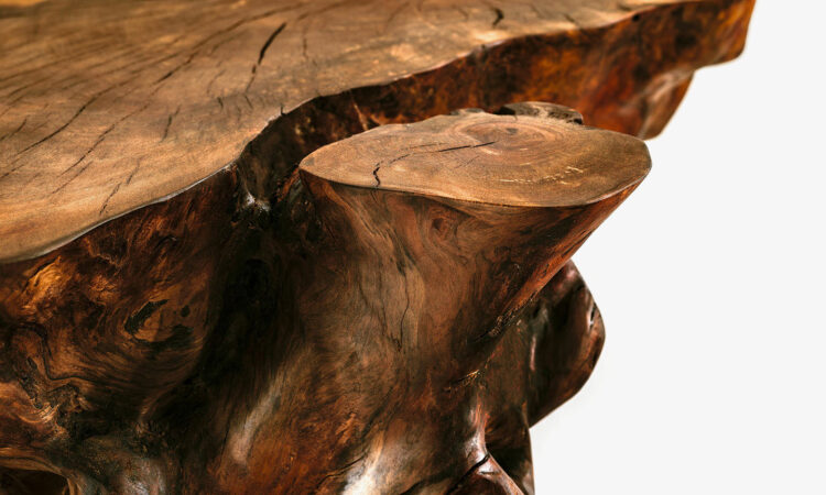 kauri-stump-bois-massif