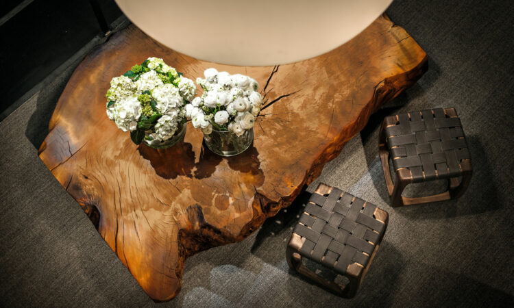kauri-stump-tablebasse