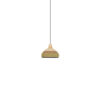 Suspension-grass-xs-vert-forestier